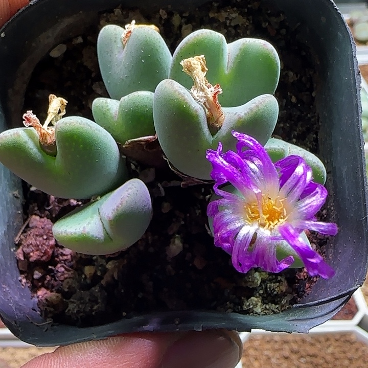 哈哈121号的小伙伴都惊呆