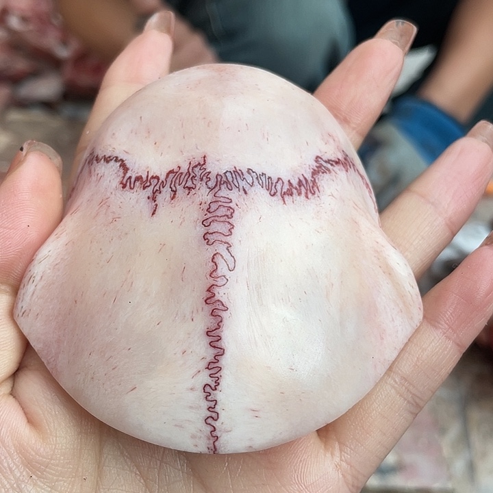 养殖鹿骨三界牌子