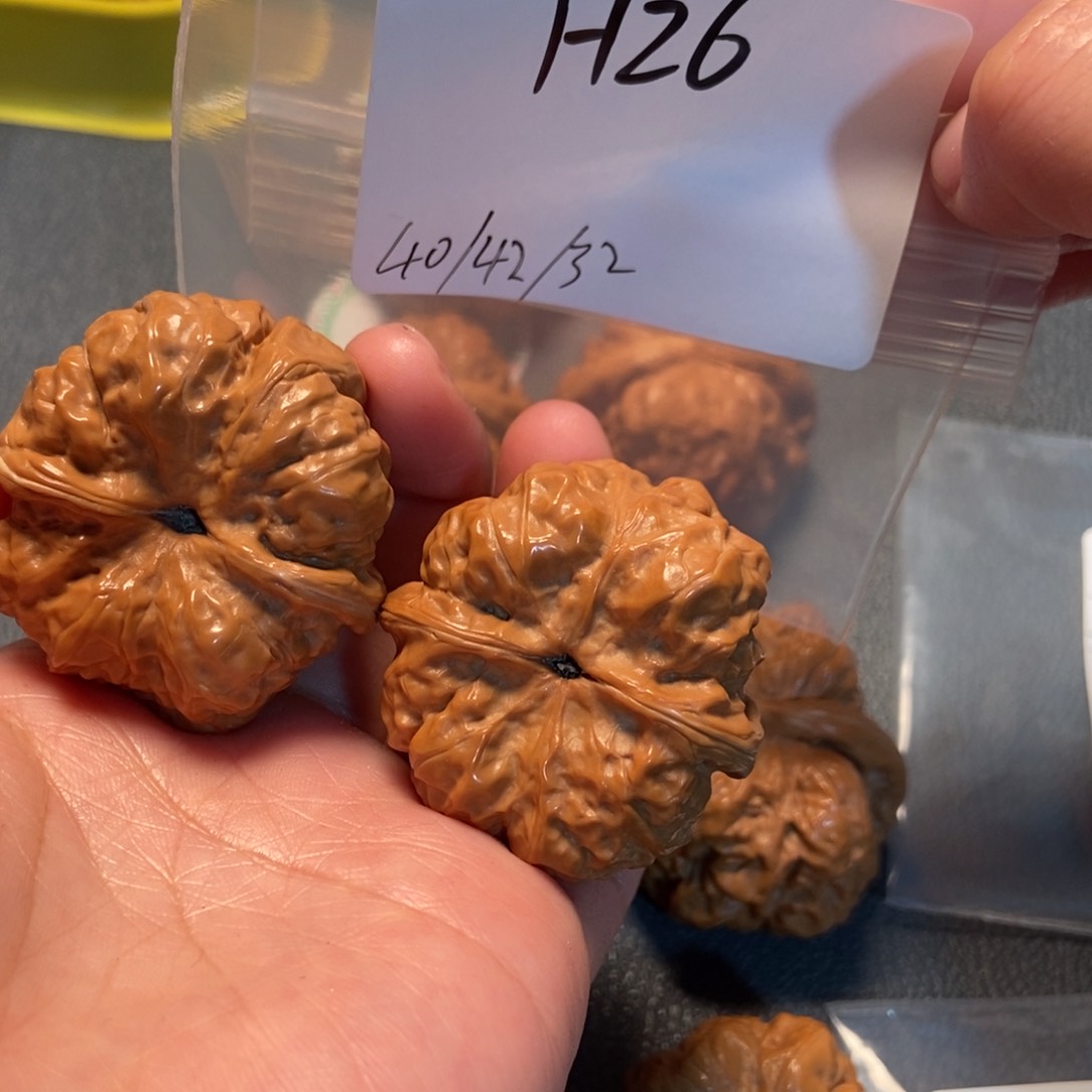 文玩核桃吊坠蛤蟆