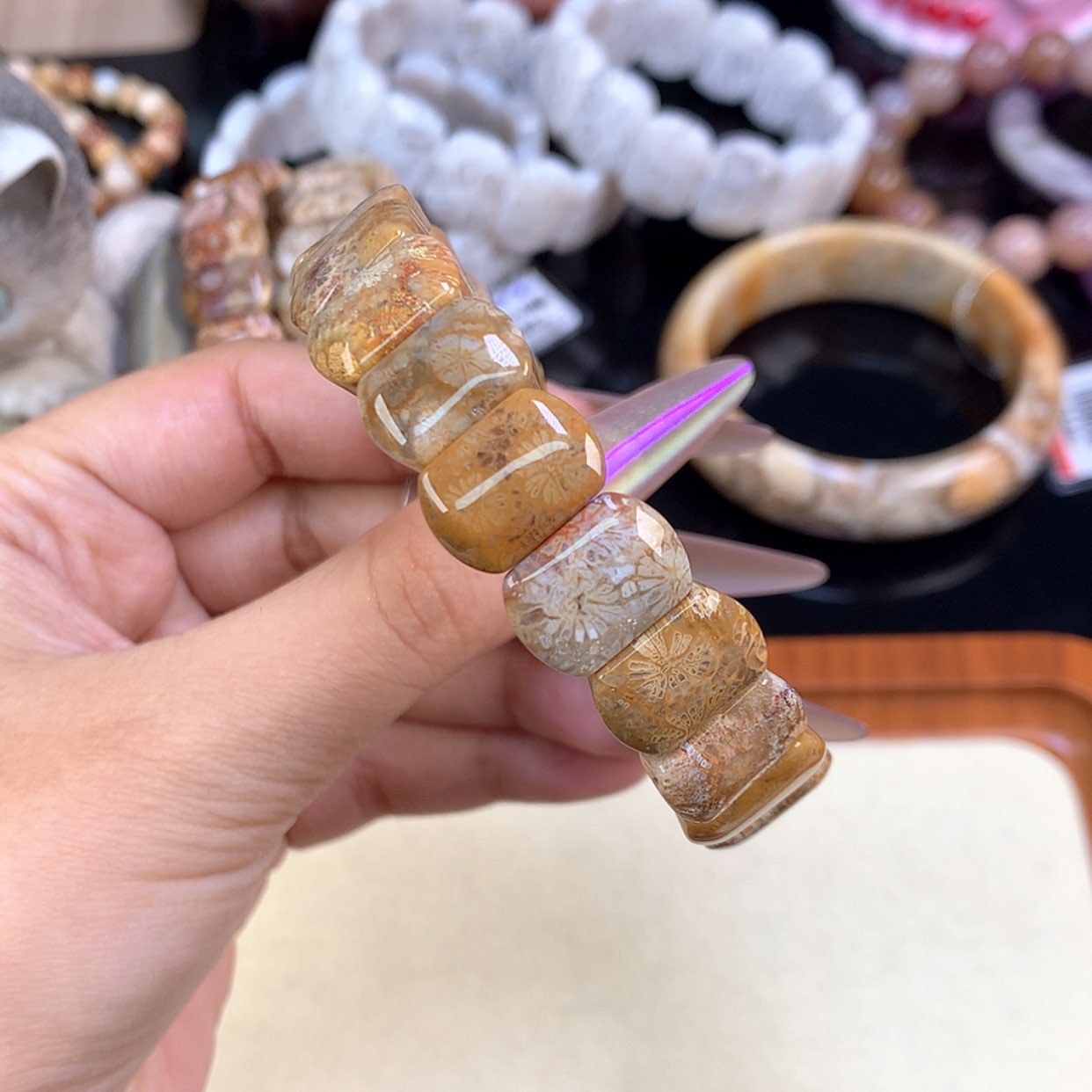 【闪购商品】颈饰未镶嵌硅化珊瑚（珊瑚玉）