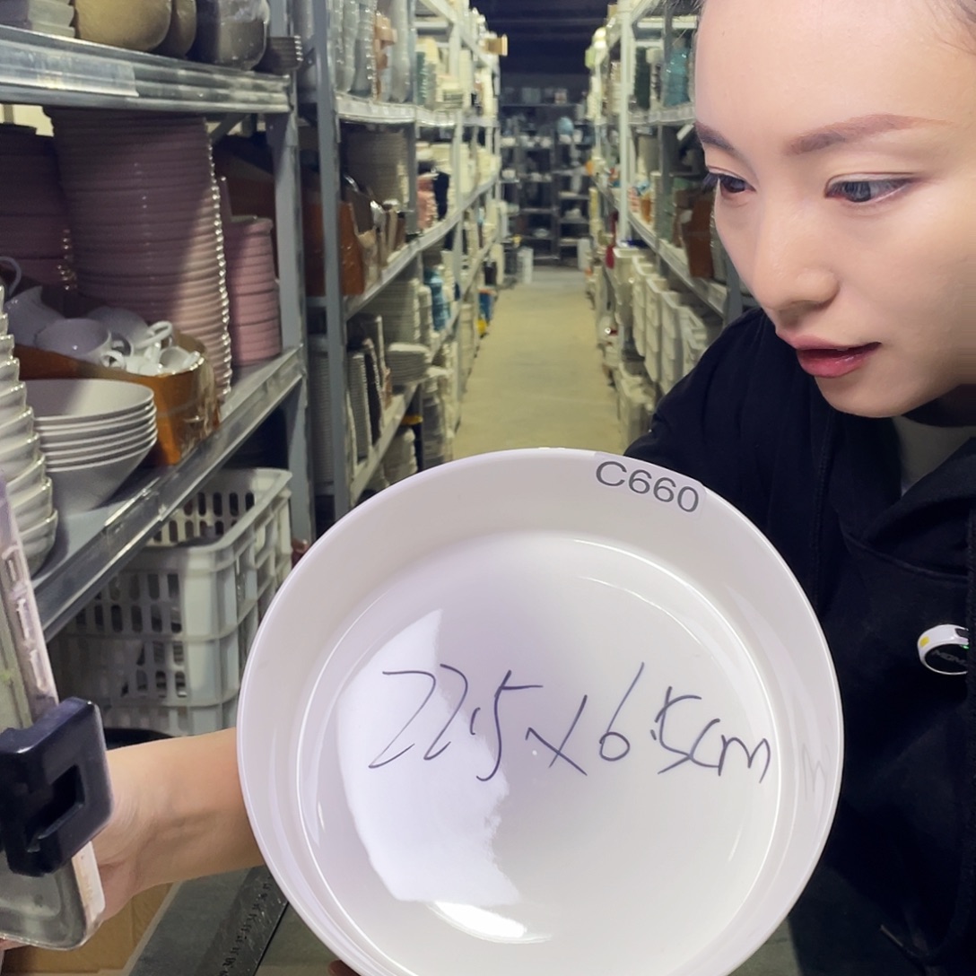 瓷片660              1个