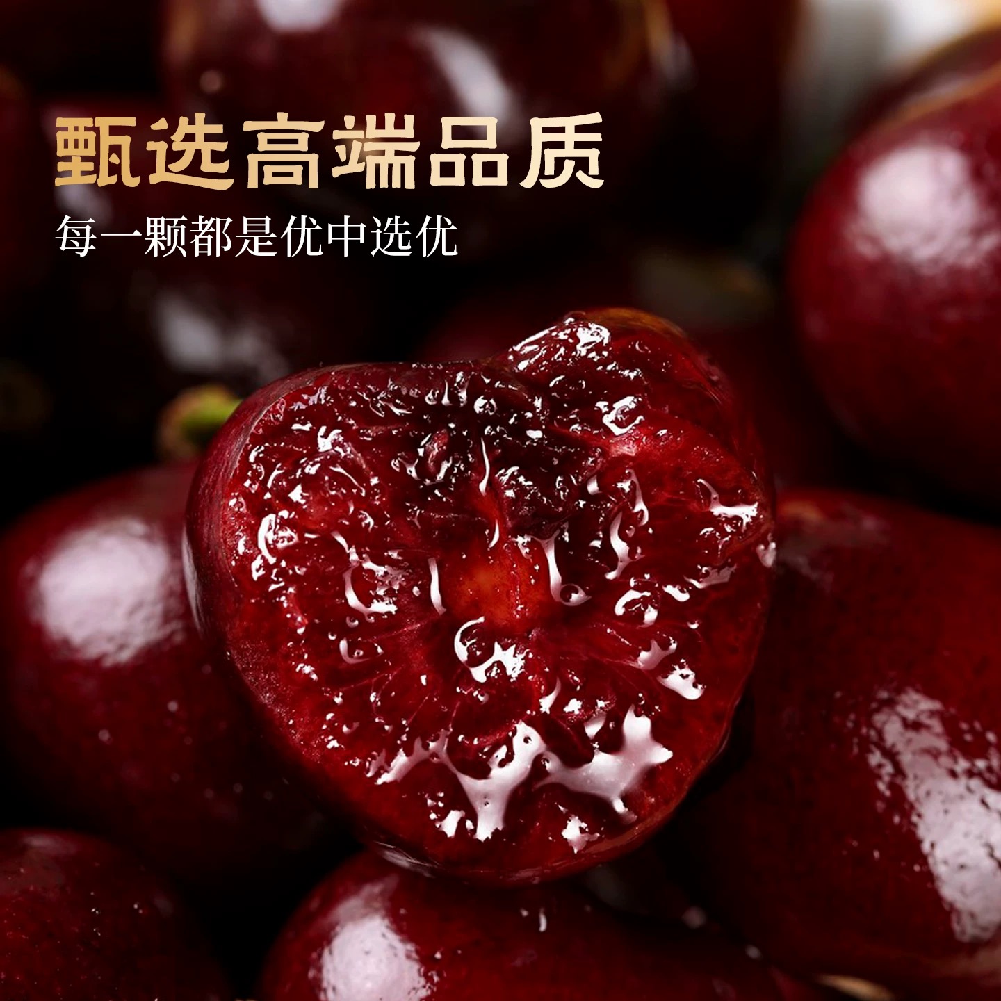 2J空运智利桑提娜车厘子五斤装桑提娜智利