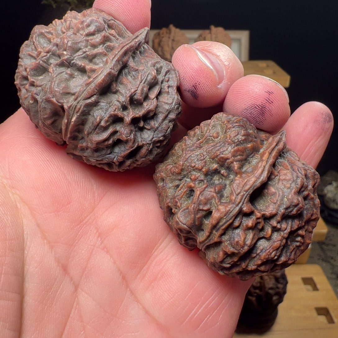 吊坠文玩核桃上古苍龙42mm