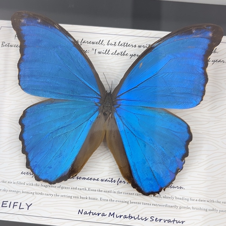 大瑕疵大蓝闪定制