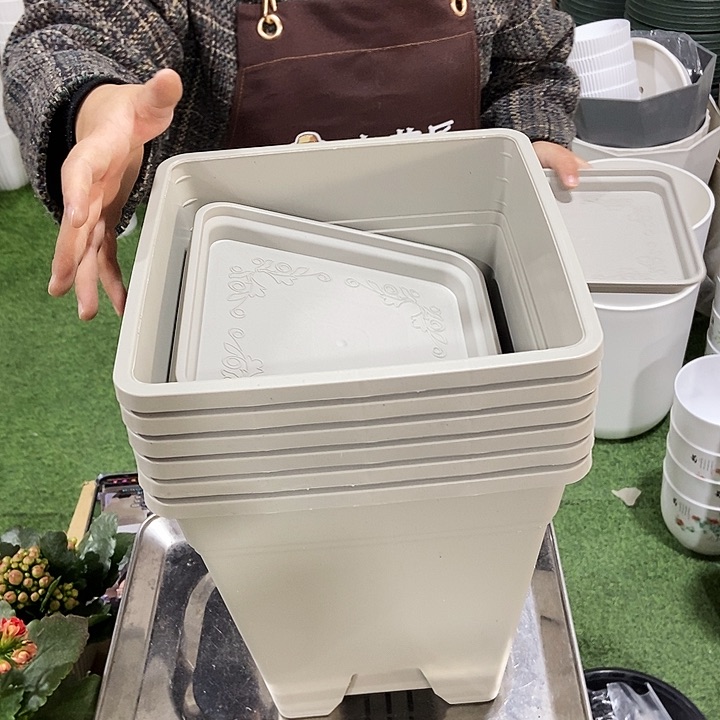 方盆口23高26灰白色带拖6套