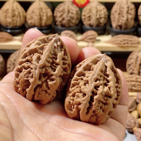 文玩核桃把件老珊瑚