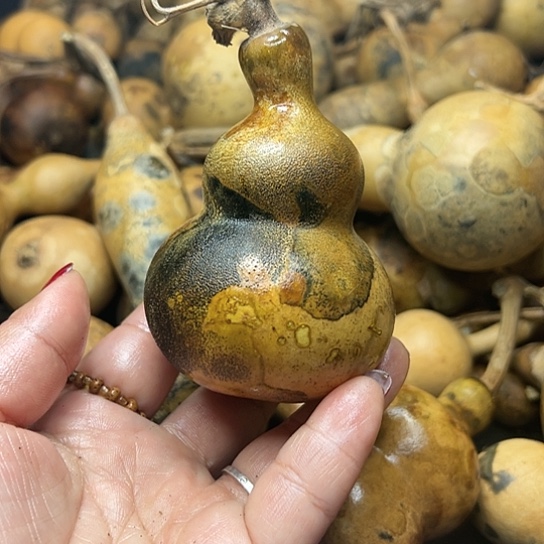 黎*葫芦葫芦葫芦葫芦葫芦