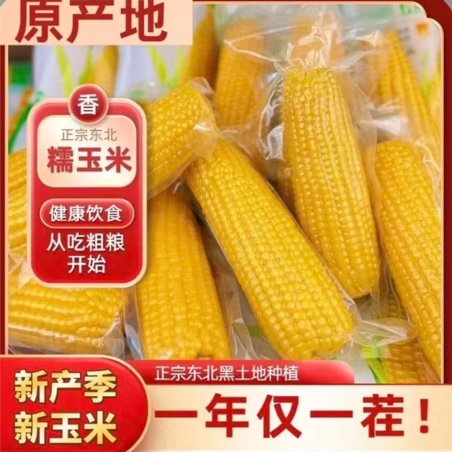 25年东北黄糯玉米真空锁鲜软糯单根280 - 320g大棒CA