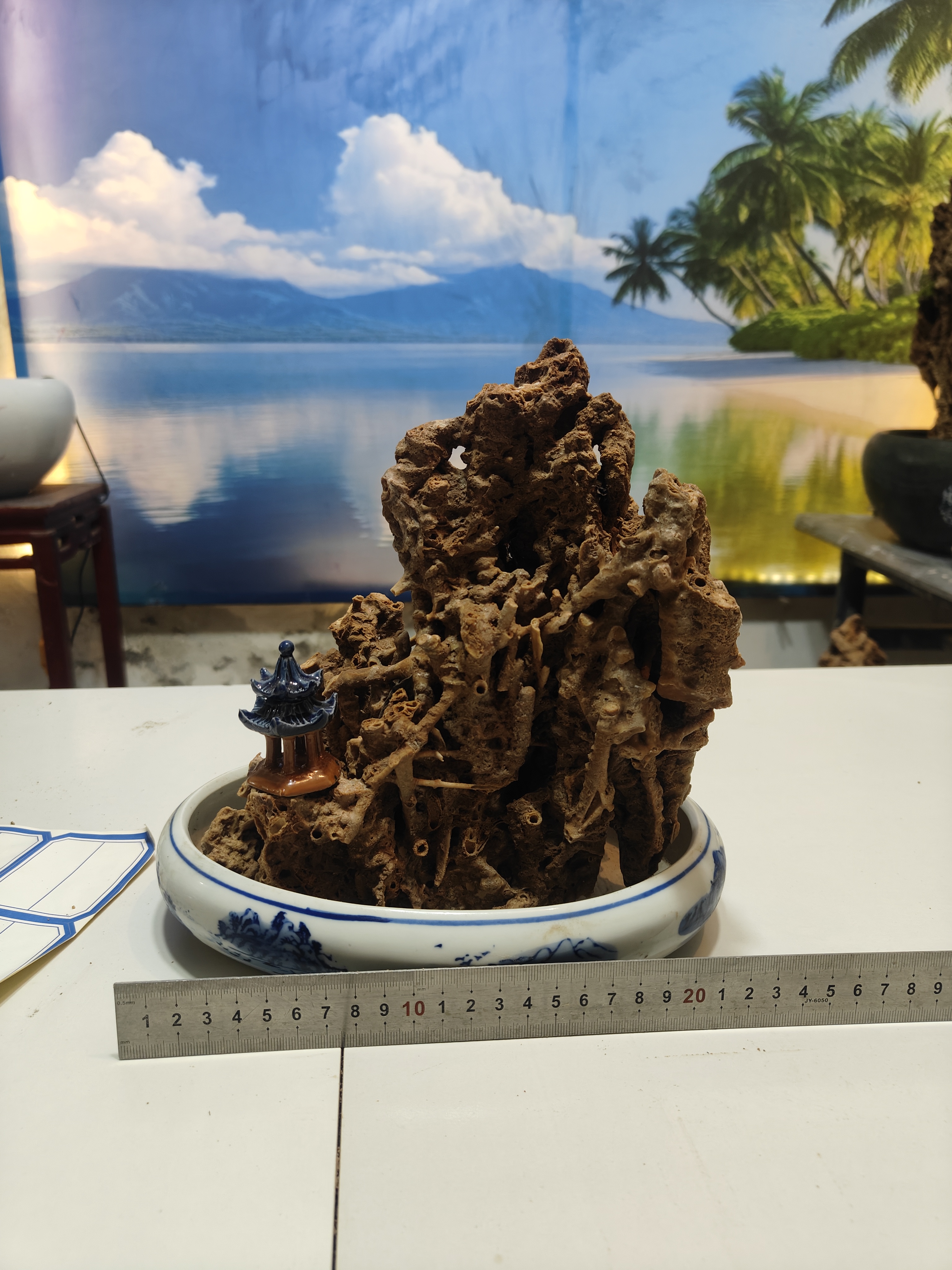 吸水石绿植盆景用于庭院室内造景装饰