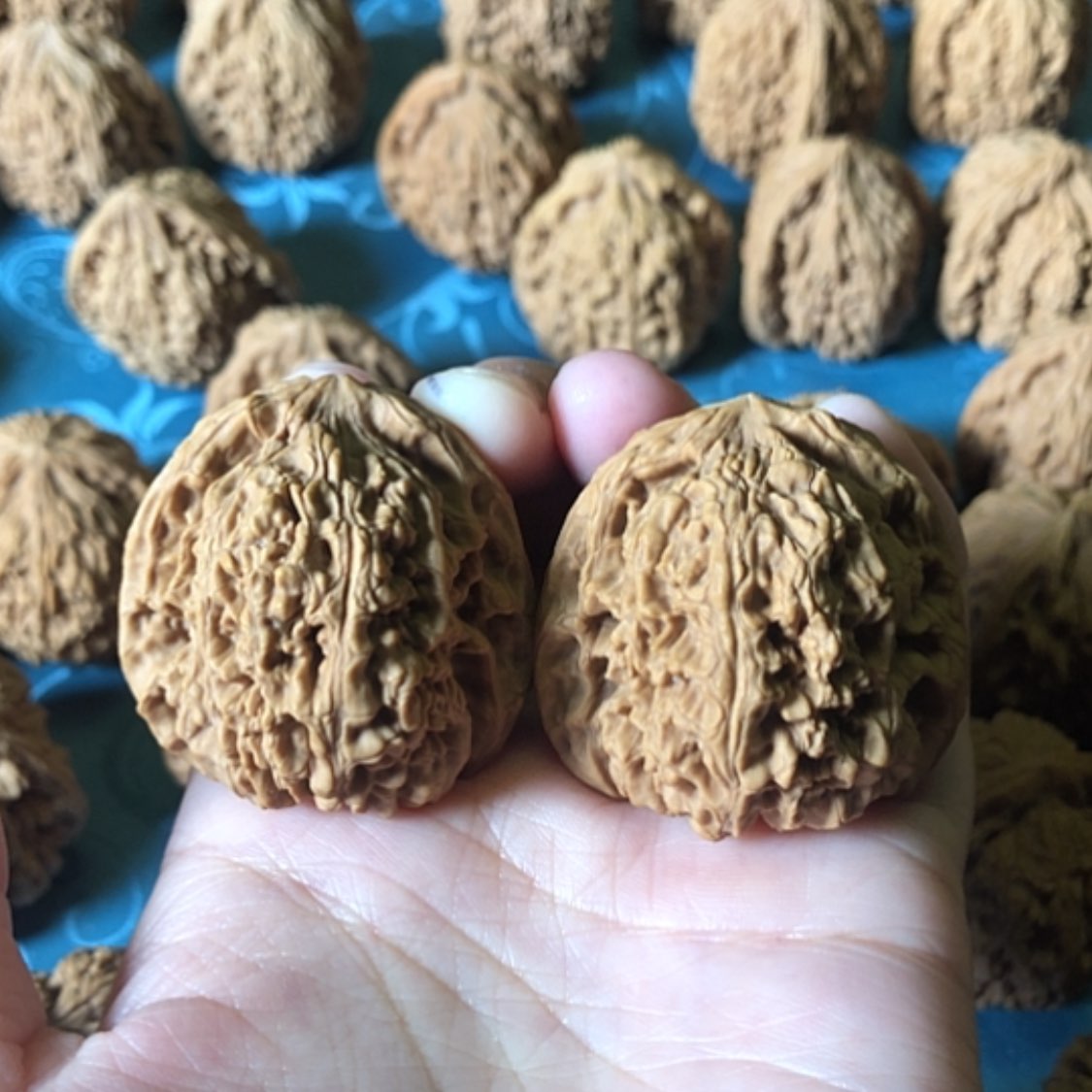 【闪购商品】文玩核桃把件兜****钱一大将