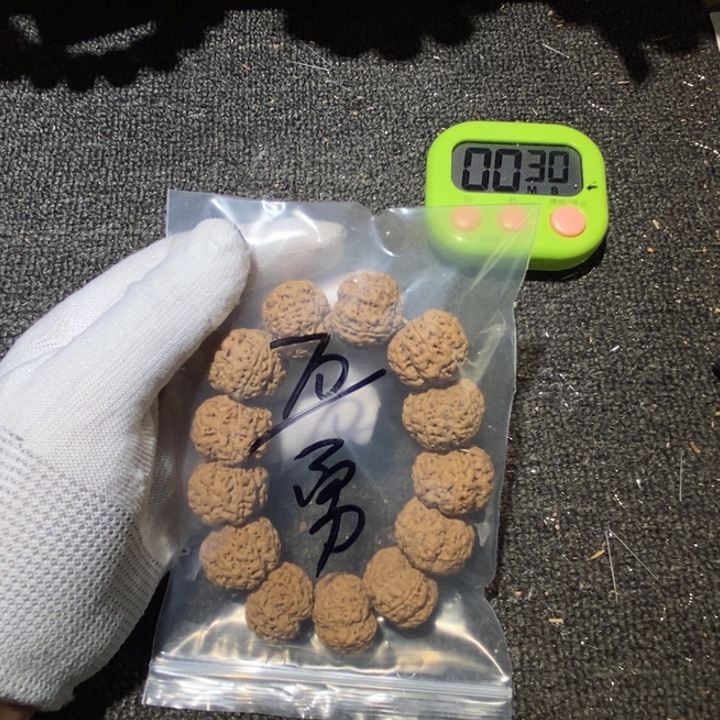@***@金刚菩提吊坠好喜欢你这个好好看