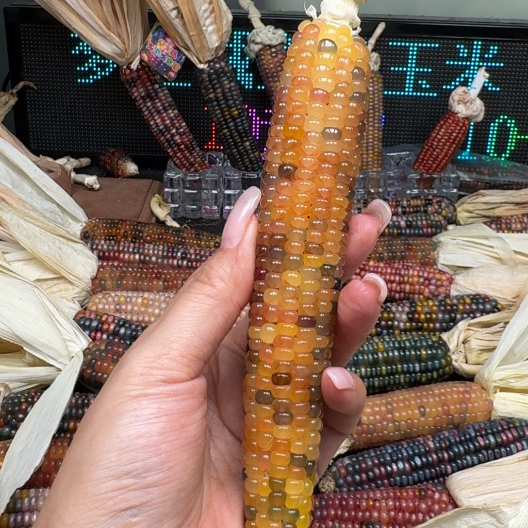 柏香籽/百香籽吊坠?****茄