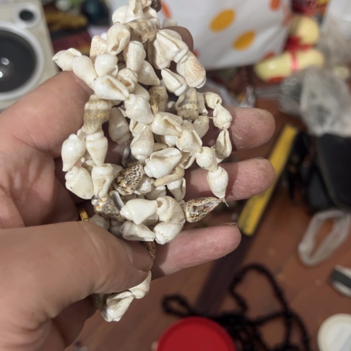 静***杂色豆（科檀/科特迪瓦檀木）