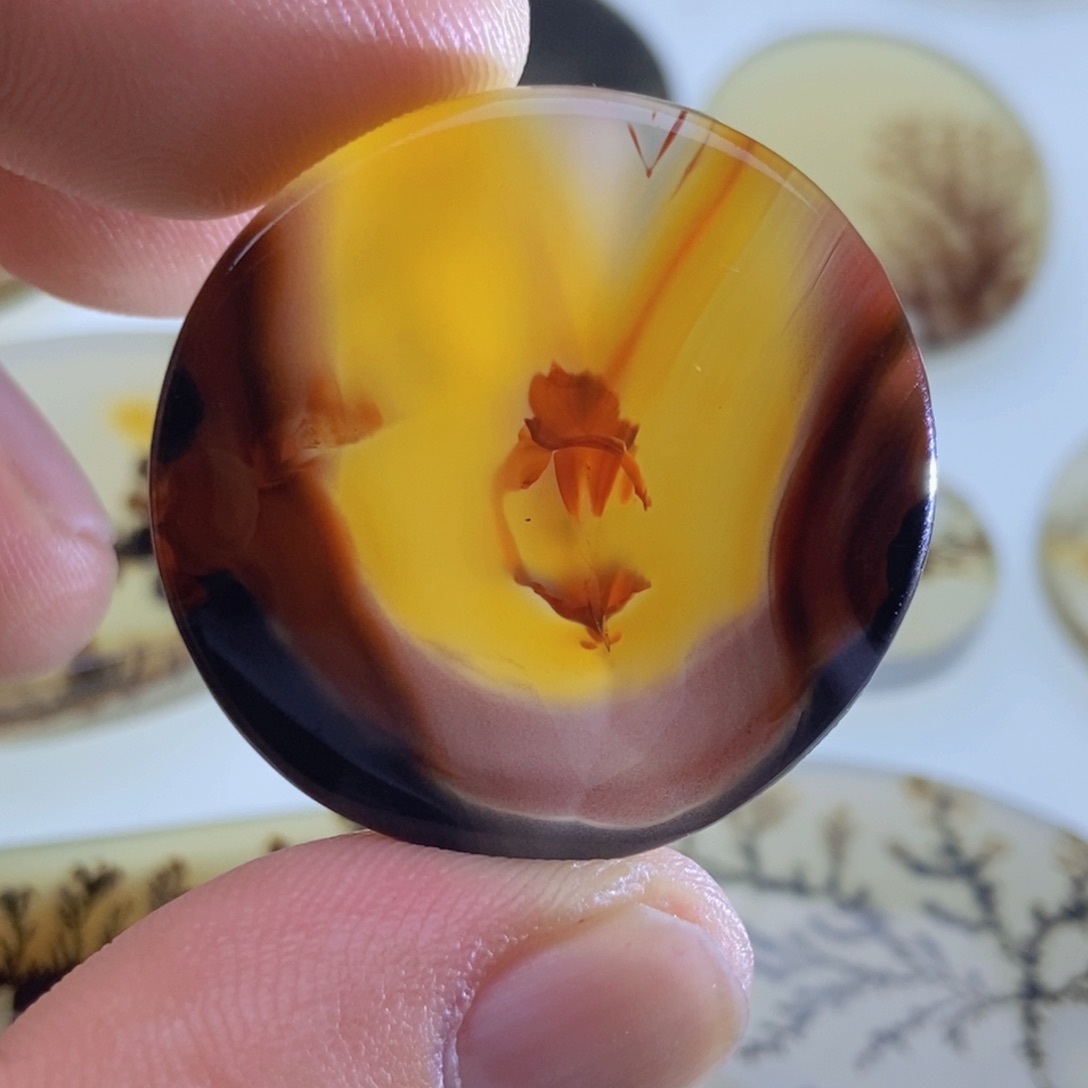 【闪购商品】未镶嵌颈饰玛瑙/玉髓