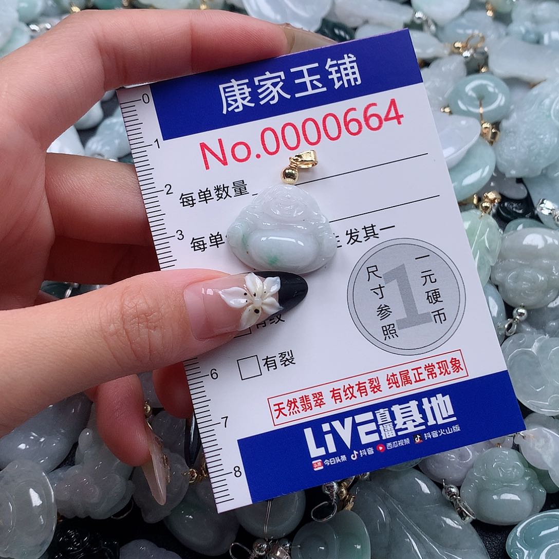 颈饰未镶嵌翡翠h