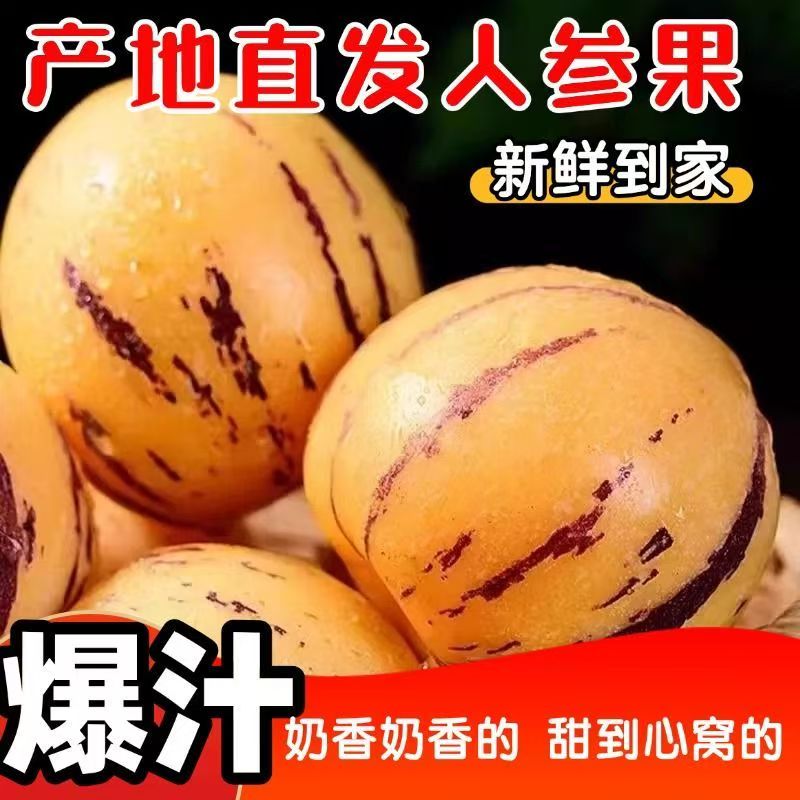 云南石林人参果圆形黄心自然熟鲜甜爆汁孕妇及婴幼儿喜欢应季水果