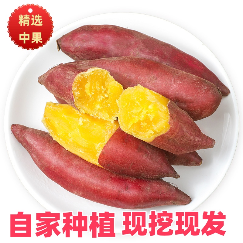 【坏果包赔 中果】海南自家种植软糯香甜无丝现挖现发天目山小香薯