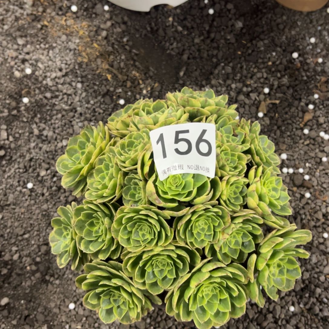 我是真的很喜欢这个