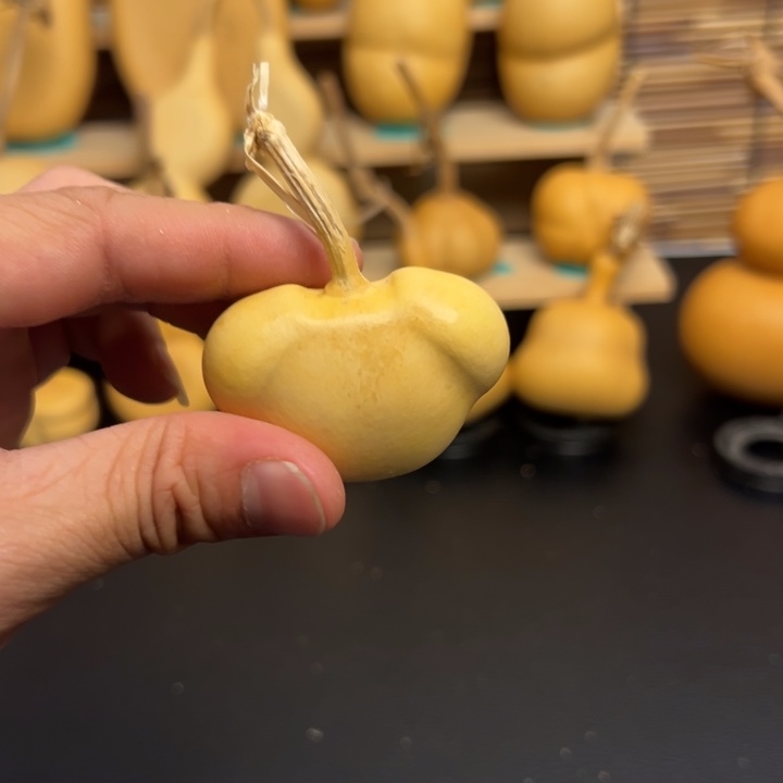 筝*33.6666665666666