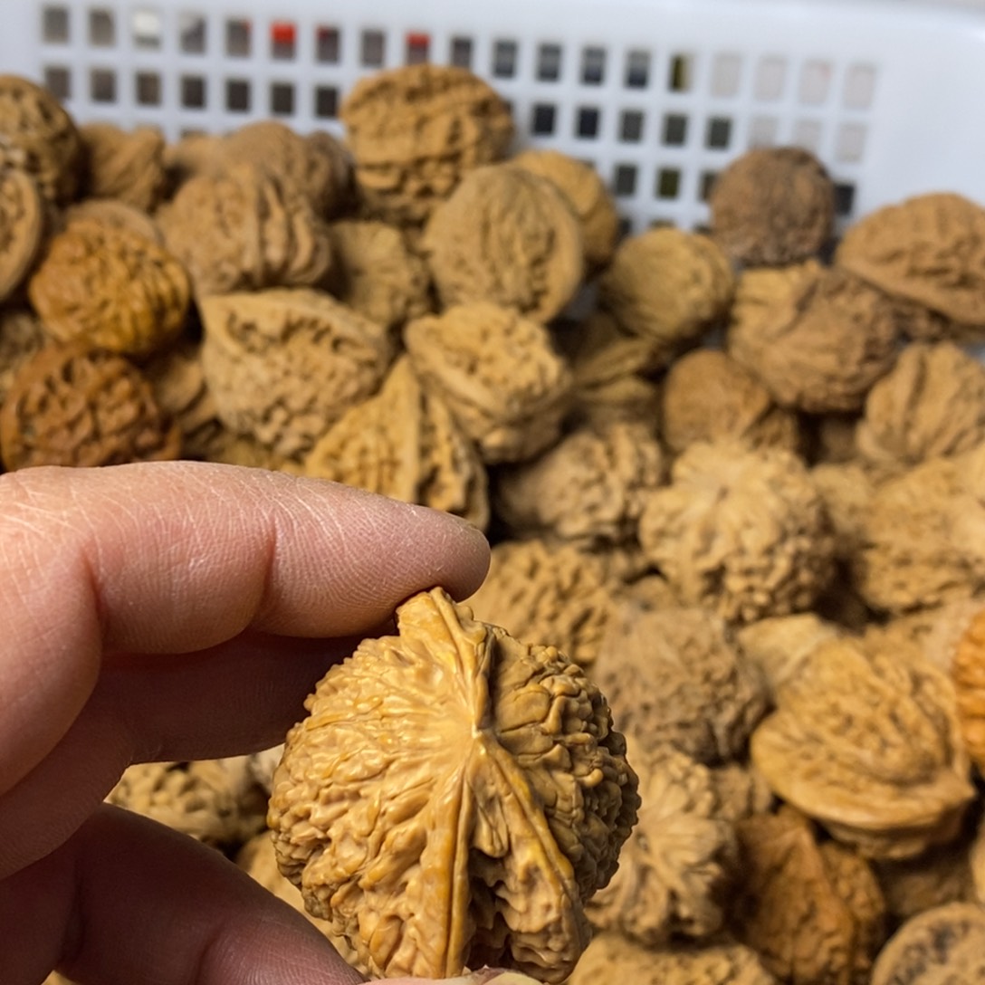 0***王文玩核桃吊坠文玩