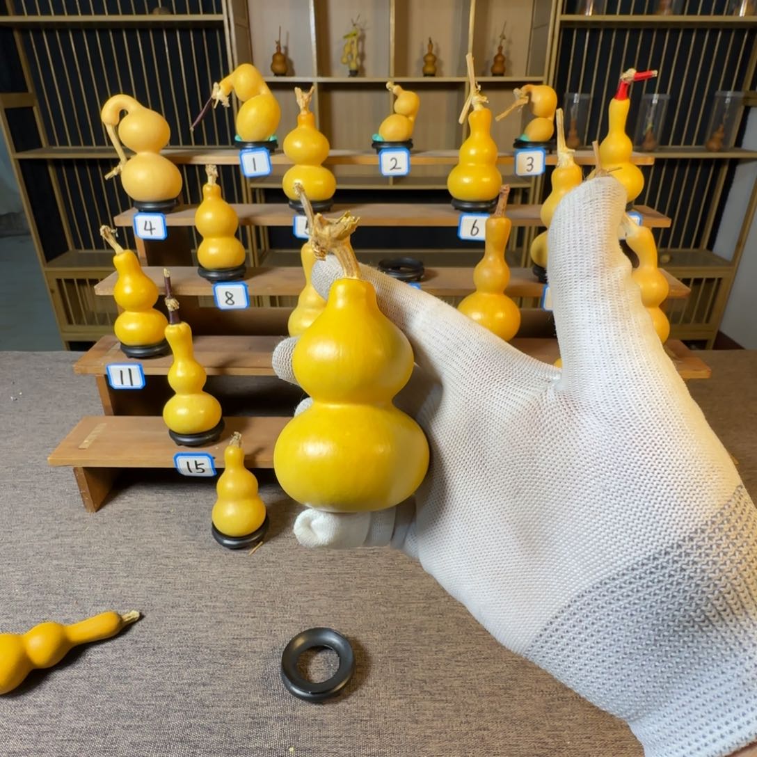 龍***軒我也不知道我为什么要这样对