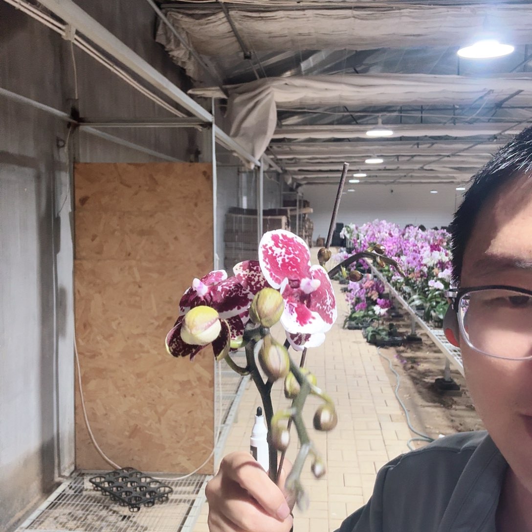 完全开放百变神童3.5加高叶损轻微