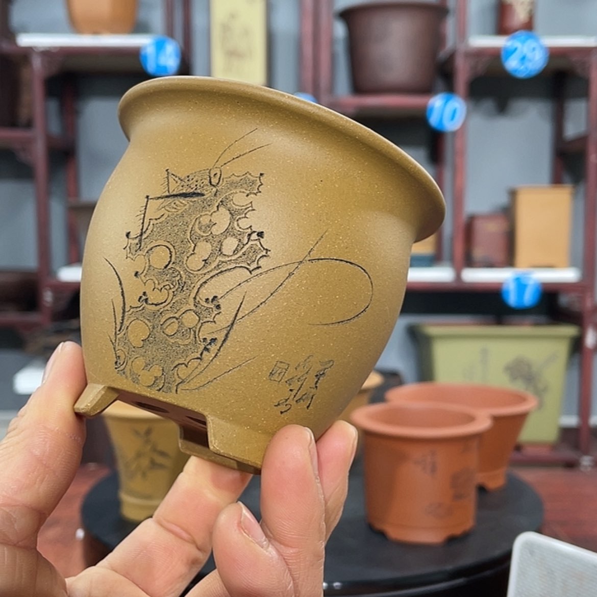 【闪购商品】紫砂花盆紫砂花盆