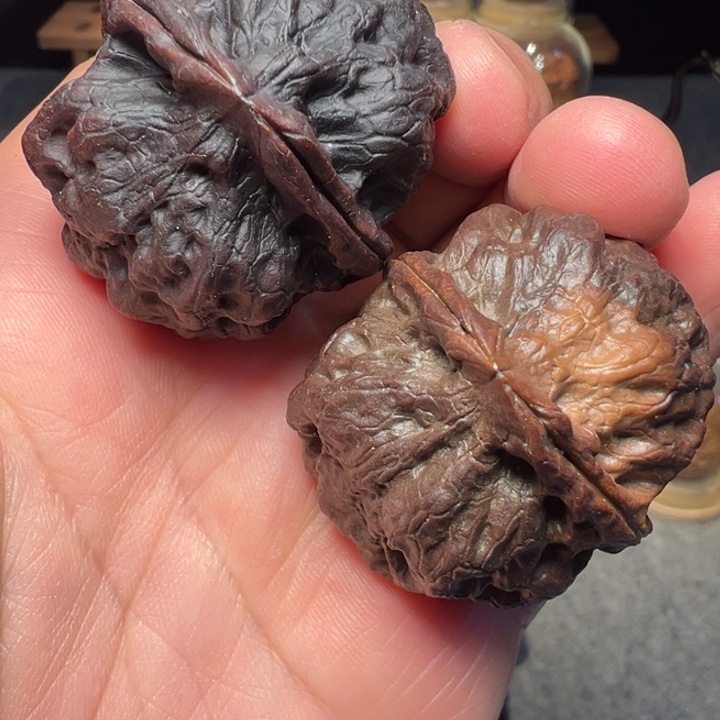 文玩核桃把件火凤凰40mm