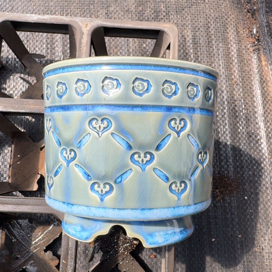 从前慢多肉精选编号0905.94