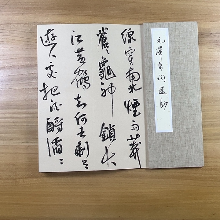 书法中书协老师作品