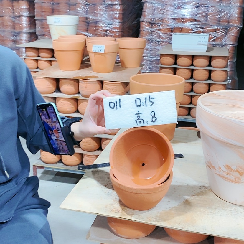 【闪购商品】红陶011-2