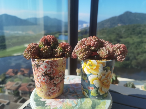 扶泥手绘花盆一物一拍，，请勿乱拍