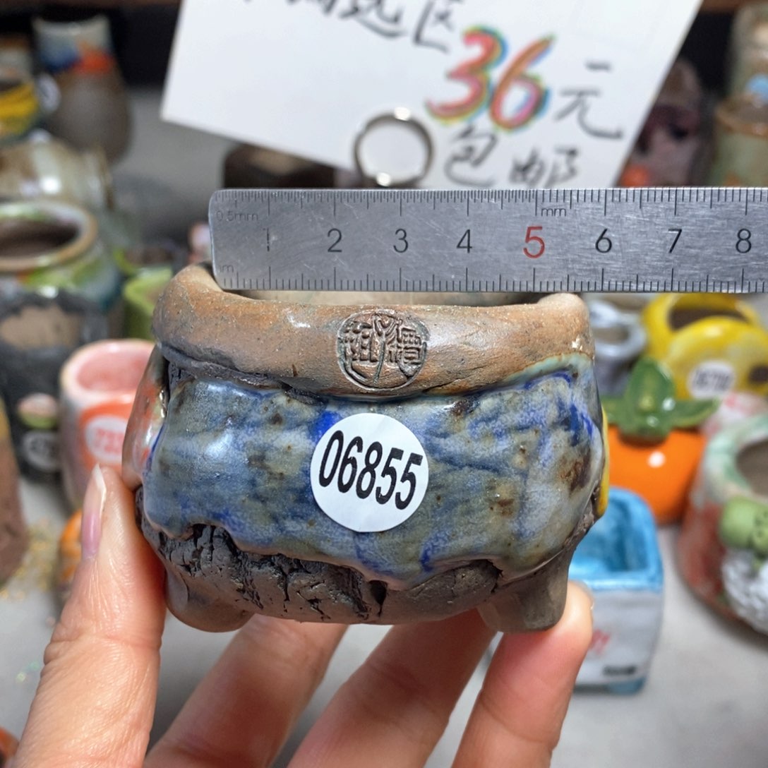 拍3送一个小礼物＇花盆