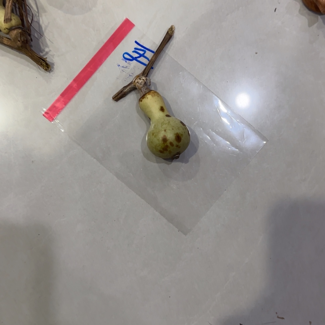 阿***卡青皮不包成青皮不包成