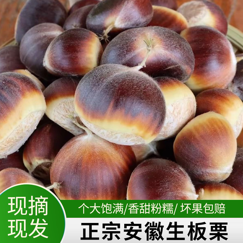 新鲜采摘花壳白壳红壳板栗香甜即食可做菜煲汤的零食坚果博主