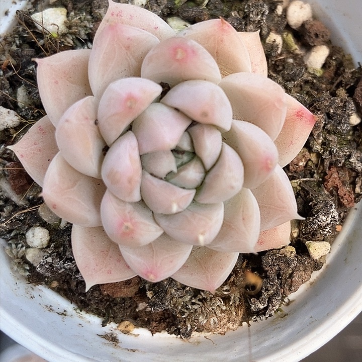 一物一拍满十元包邮发货 330