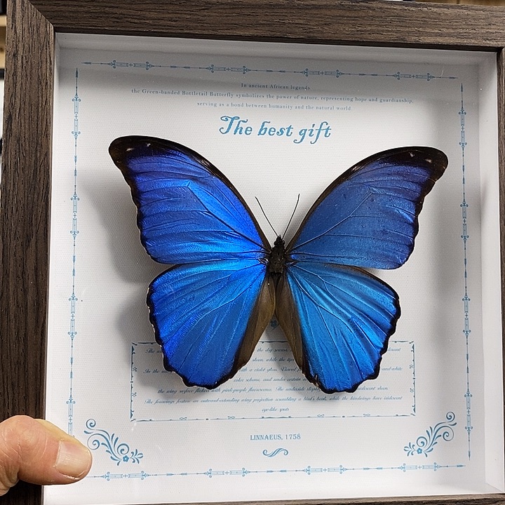 幺***彤石英石铁合金雨彤老师专属