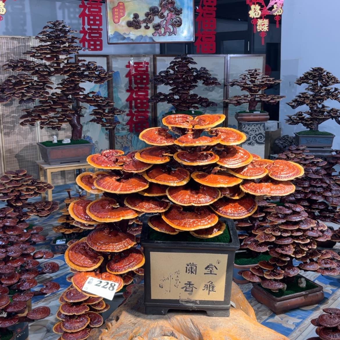 【闪购商品】88888