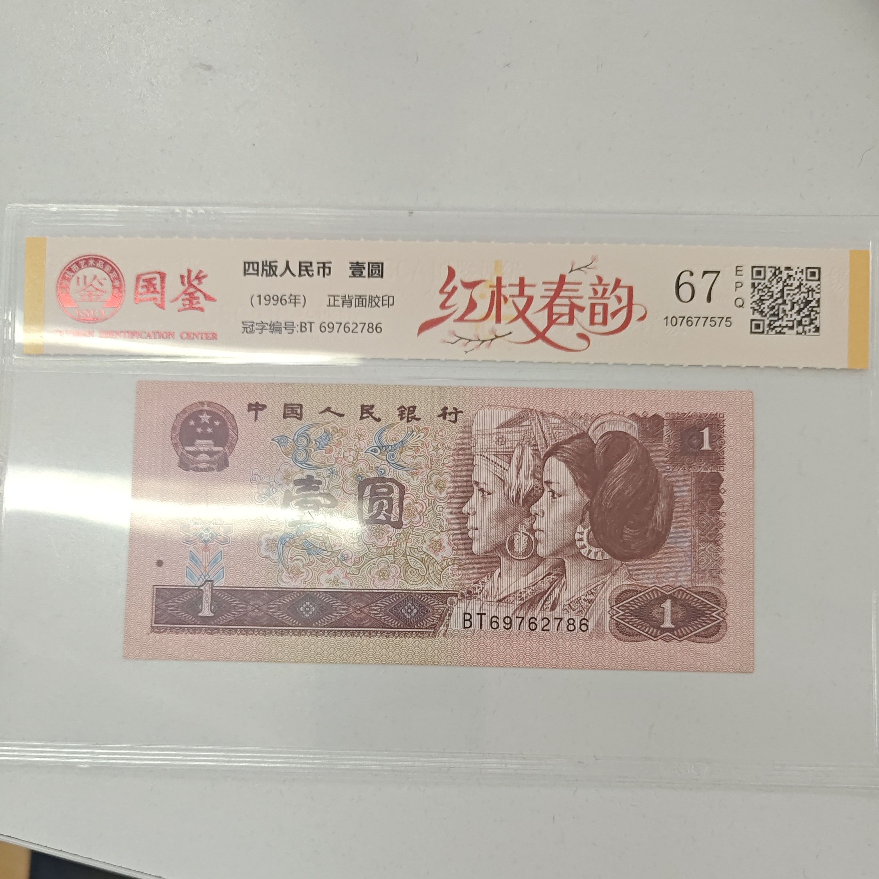 961元荧光品种红枝春韵一枚（新号开播专属福利）