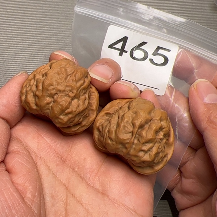 核桃边37肚37尺465号