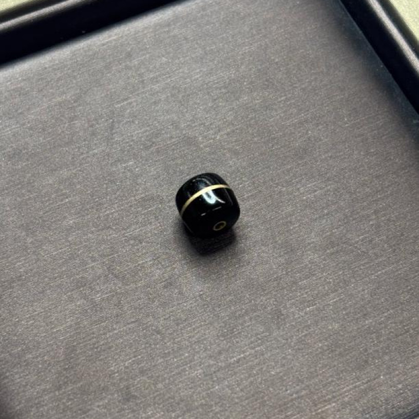 A605 印尼原色原生态椰蒂9mm单株