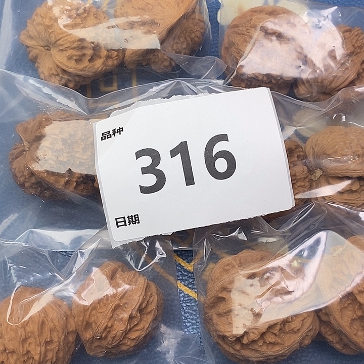 文玩核桃把件316号6对带练手粗筋