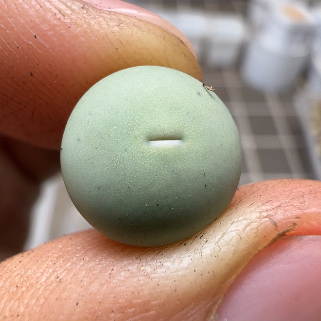 10 号v嘴sh433一物一拍