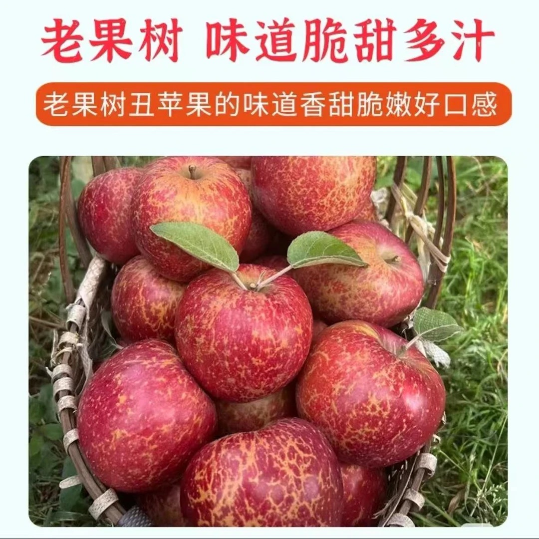 四川大凉山新鲜丑苹果脆甜多汁 产地直发