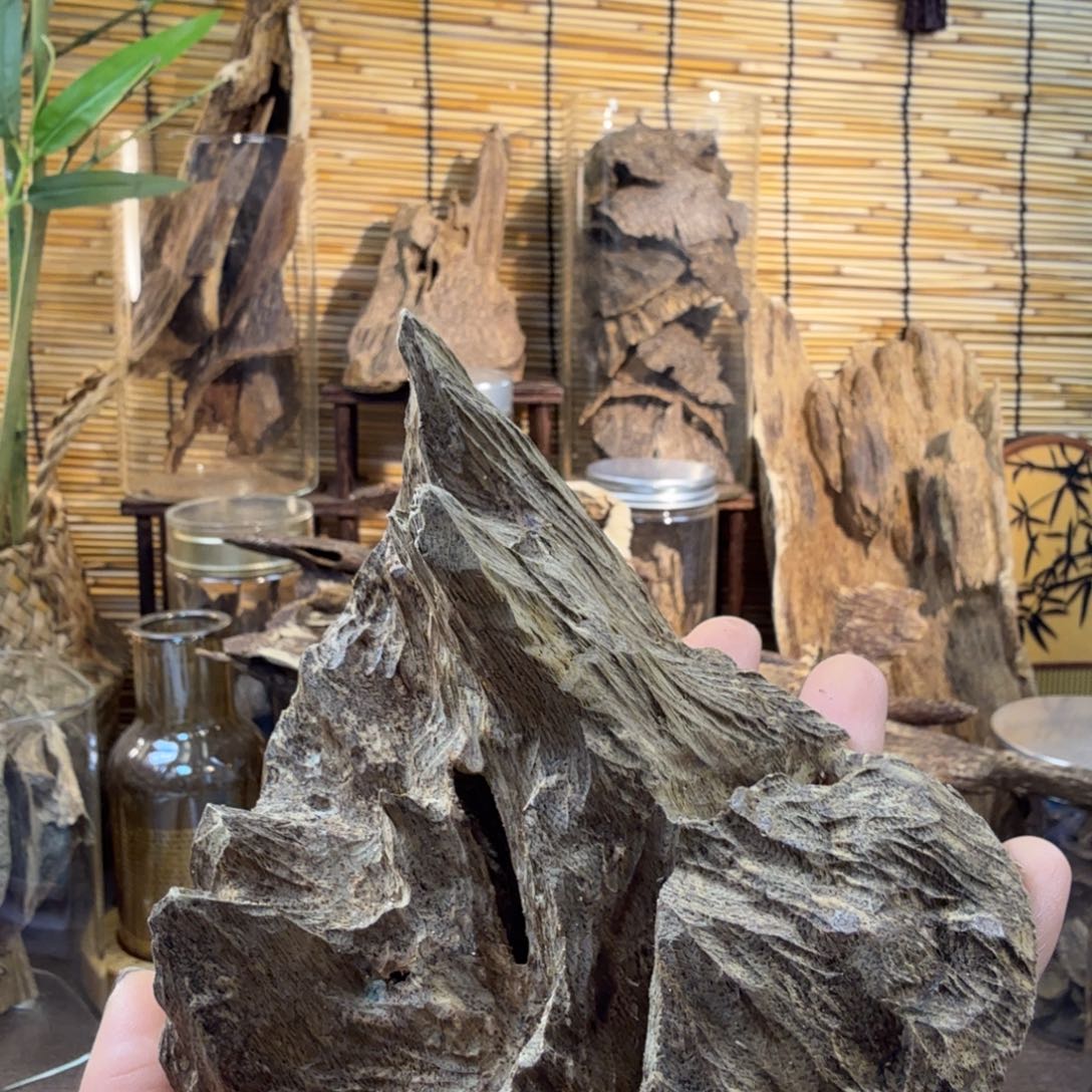 沉香沉香碎屑沉香老顶116g