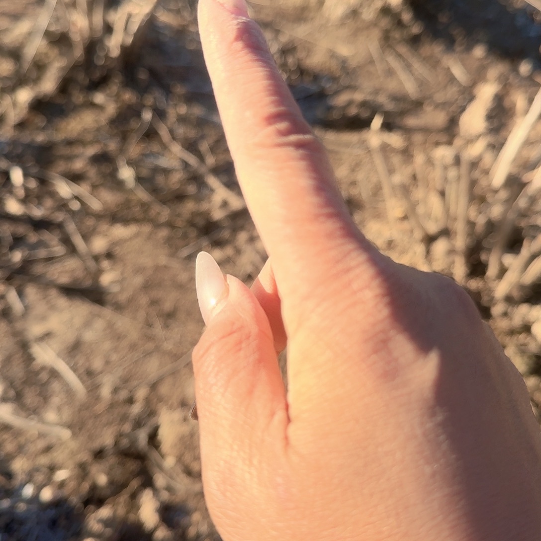 完全开放小苗子20000000