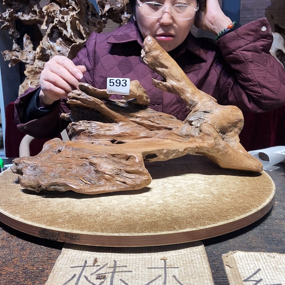 小***艺593。株木随行根艺