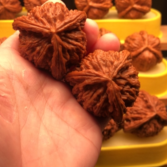 0***0核桃核桃核桃核桃核桃