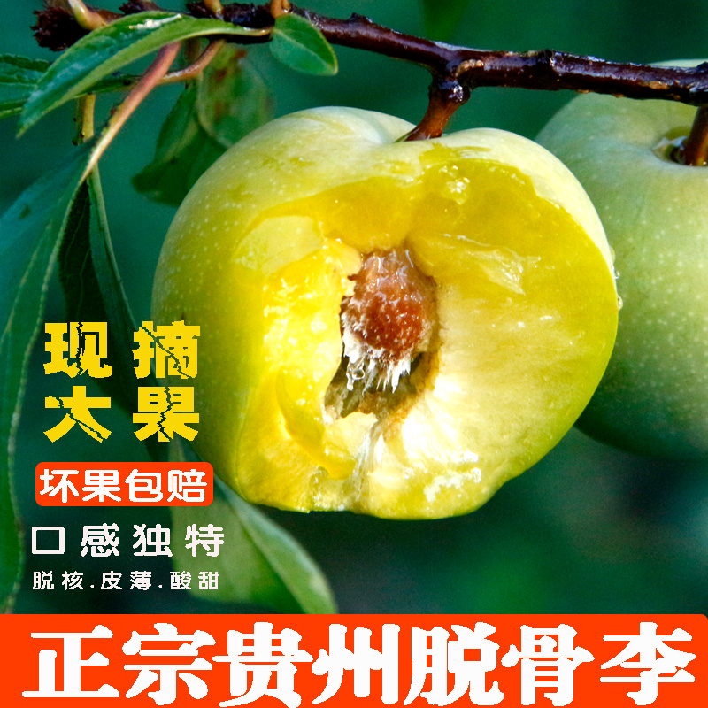 贵州李子新鲜水果冰脆李脆酸甜现摘当季应季空心青脆李脱骨李
