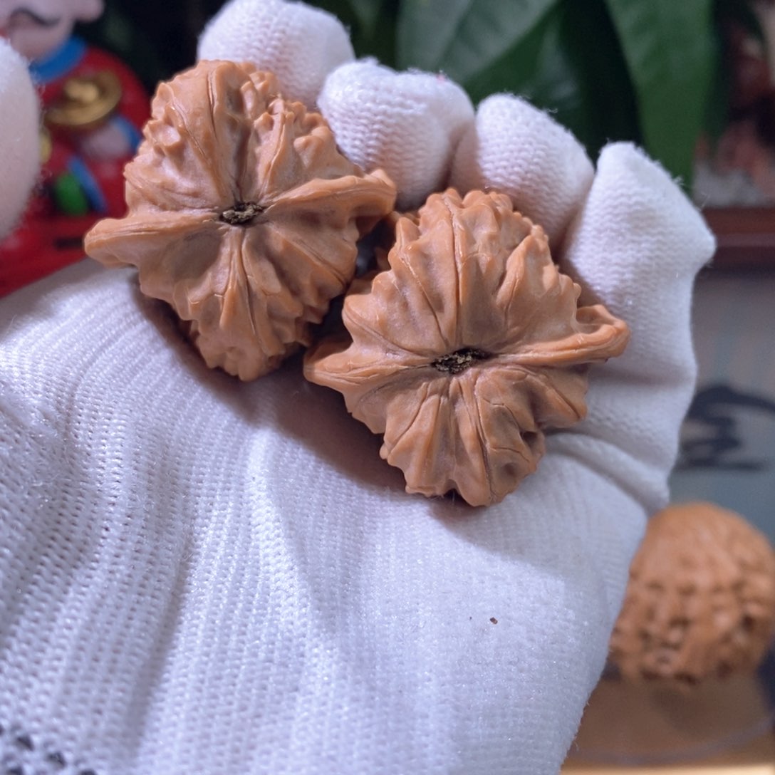 文玩核桃吊坠野生